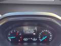 Ford Focus ST-Line 1.0 Ecoboost / 8-fach / Apple Car / Kessy Bleu - thumbnail 14