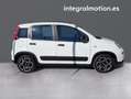 Fiat Panda City Life Hybrid 1.0 Gse 51kw (70CV) Blanco - thumbnail 26