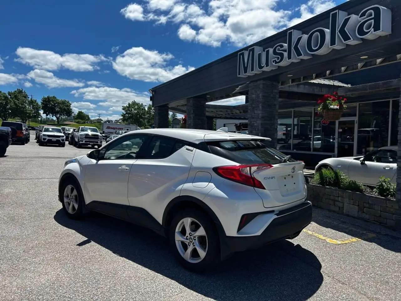 Toyota C-HR fotografie Toyota C-HR