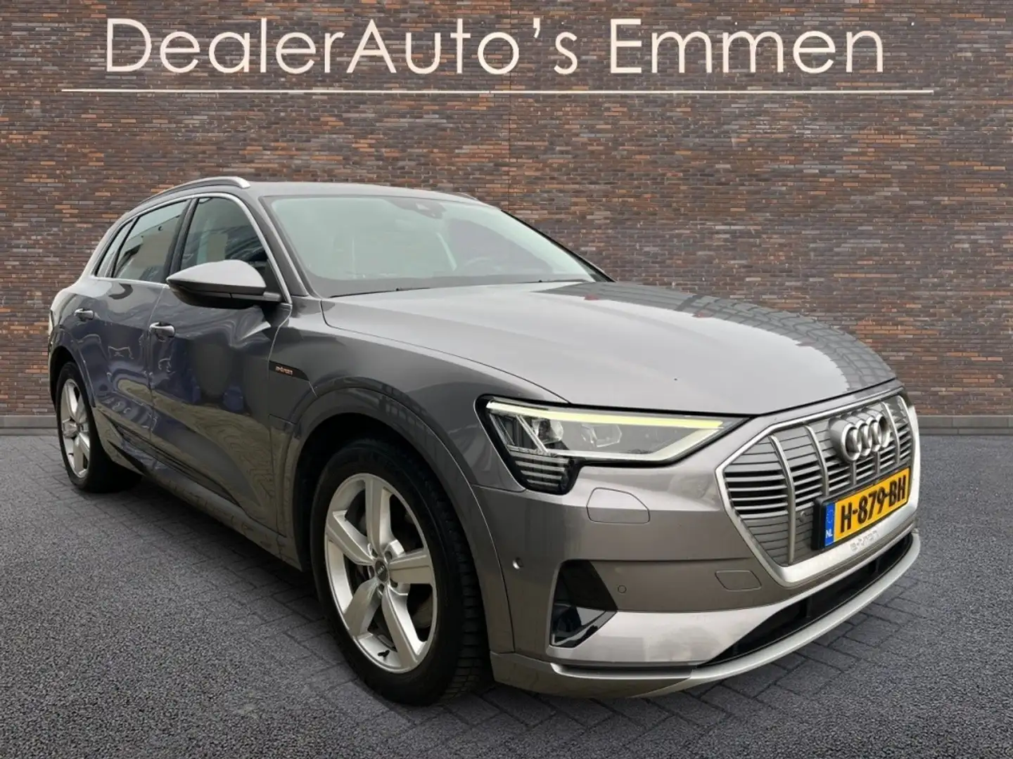 Audi e-tron e-tron 50 Q LAUNCH EDITION Grijs - 2