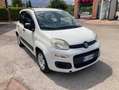 Fiat Panda Panda III 2012 1.3 mjt 16v Easy 75cv Blanc - thumbnail 4