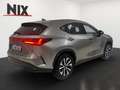 Lexus NX 350h 2.5 Hybrid Executive Line 360° KLIMA Argent - thumbnail 4