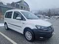Volkswagen Caddy 2.0TDI Pickerl neu! Tempomat-Klima-Parksensoren! Weiß - thumbnail 1