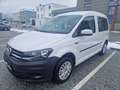 Volkswagen Caddy 2.0TDI Pickerl neu! Tempomat-Klima-Parksensoren! Weiß - thumbnail 3