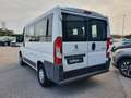Peugeot Boxer 330 2.0 BlueHDi/110CV FAP PC-TN Combi Comfort Blanc - thumbnail 3