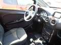 Casalini M14 Orange - thumbnail 14