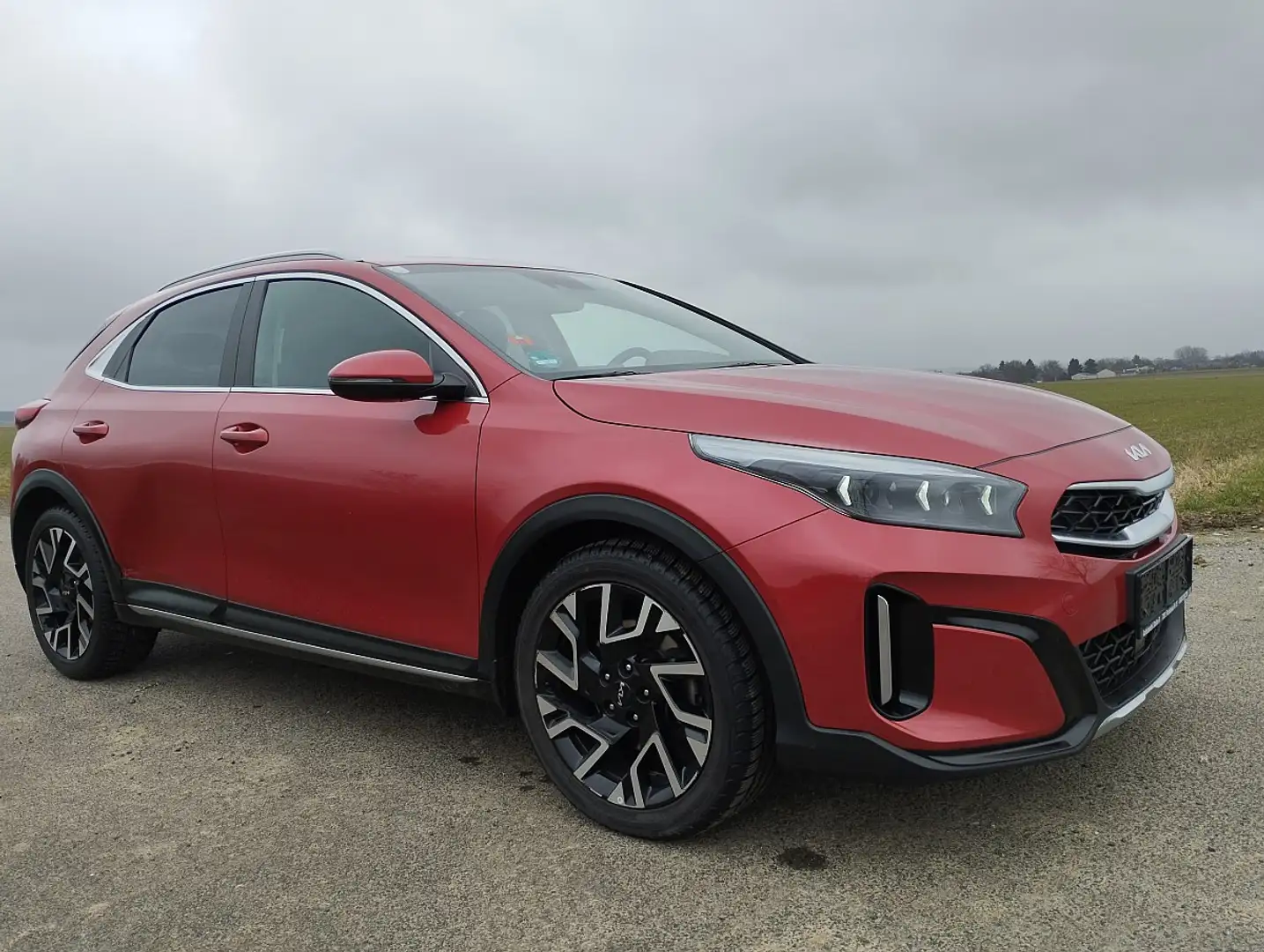Kia XCeed Xceed 1,5 TGDI 48V GPF Gold DCT,NEU Pickerl,ACC... Rot - 1