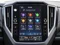 Subaru Forester 2.0i Hybrid Active Verde - thumbnail 11