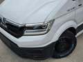 MAN TGE 3.180 DSG 44.990EX - 4X4 - 8.000 KM - FULL OPTION Blanc - thumbnail 6