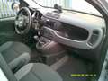 Fiat Panda Panda III 2016 1.2 Easy s Grau - thumbnail 8