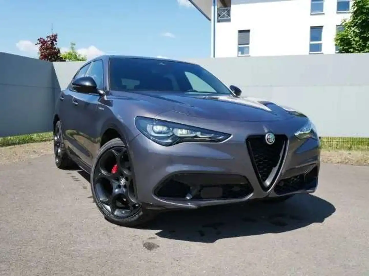 Alfa Romeo Stelvio My25 Veloce 2.0 Turbo Q4 Серый - 1