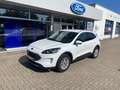 Ford Kuga Plug-in-Hybrid PHEV Titanium X LED,HUD Blanc - thumbnail 1