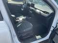 Ford Kuga Plug-in-Hybrid PHEV Titanium X LED,HUD Blanc - thumbnail 11