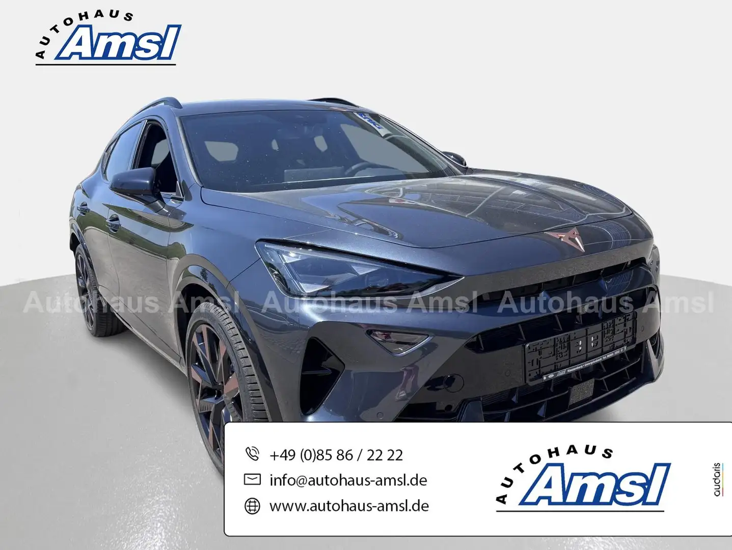 CUPRA Formentor 2.0 TSI DSG VZ 4Drive*Matrix*AHK*5JGa Grau - 1