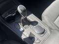 BMW 116 d Advantage //Adapt.LED Lenkradheizung Blau - thumbnail 9