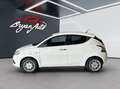 Lancia Ypsilon 1.2 Gold 69cv(NEOPATENTATI) White - thumbnail 6