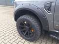 Ford Ranger Platinum 3,0d UMBAU Tech73 AHK Rollo Standhzg Schwarz - thumbnail 9