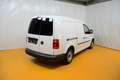 Volkswagen Caddy Caddy Maxi Kastenwagen Entry 2,0 TDI Weiß - thumbnail 3