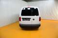 Volkswagen Caddy Caddy Maxi Kastenwagen Entry 2,0 TDI Weiß - thumbnail 5