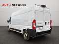Fiat Ducato 35 2.2 Mjt3 180CV LH2 L3H2 Furgone Maxi Blanc - thumbnail 4
