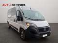 Fiat Ducato 35 2.2 Mjt3 180CV LH2 L3H2 Furgone Maxi Blanc - thumbnail 2