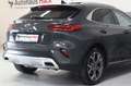 Kia XCeed Platinum Edition 1.Hand~SZBL~Pano~TotW Gris - thumbnail 8