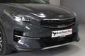 Kia XCeed Platinum Edition 1.Hand~SZBL~Pano~TotW Gris - thumbnail 11