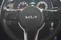 Kia Stonic STONIC 1,2 DPI EDITION 7 SHZ PDC APP Rojo - thumbnail 14