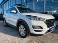 Hyundai TUCSON Trend Mild-Hybrid 2WD AHK*NAVI*KAMERA Weiß - thumbnail 16