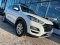 Hyundai TUCSON Trend Mild-Hybrid 2WD AHK*NAVI*KAMERA Weiß - thumbnail 19