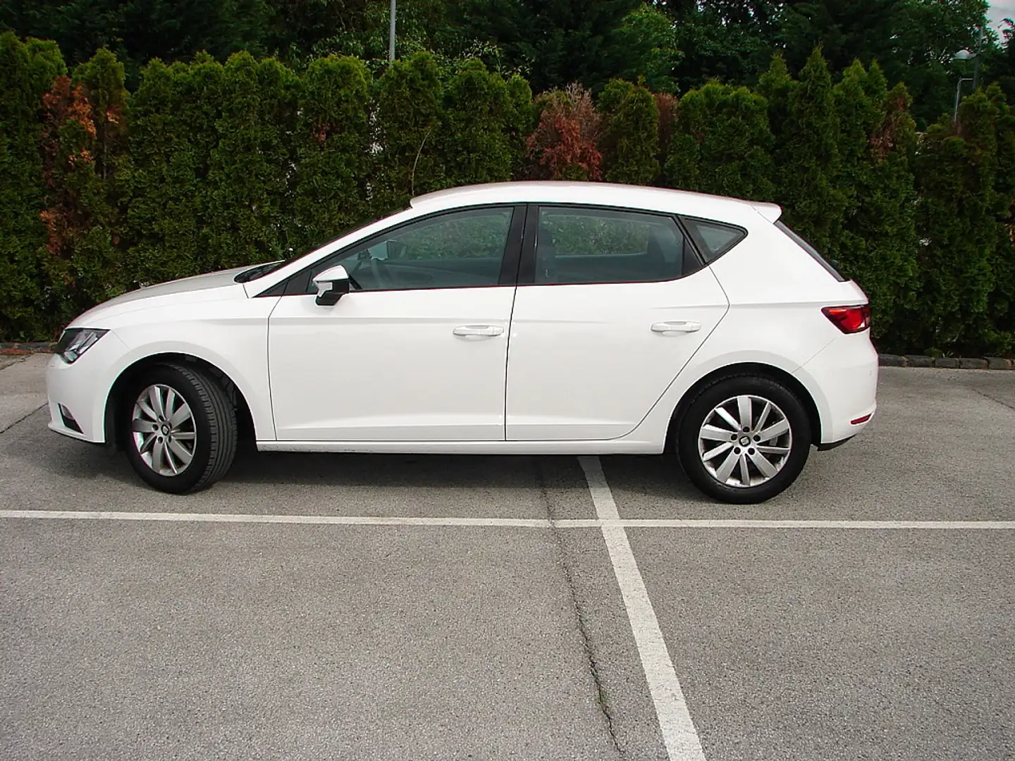 SEAT Leon Business 1,2 TSI ** GEBRAUCHTWAGENGARANTIE ** Weiß - 2