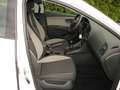 SEAT Leon Business 1,2 TSI ** GEBRAUCHTWAGENGARANTIE ** Weiß - thumbnail 17