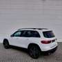 Mercedes-Benz GLB 250 4MATIC | AMG Line | Panoramisch Dak | Memory Zetel Wit - thumbnail 4