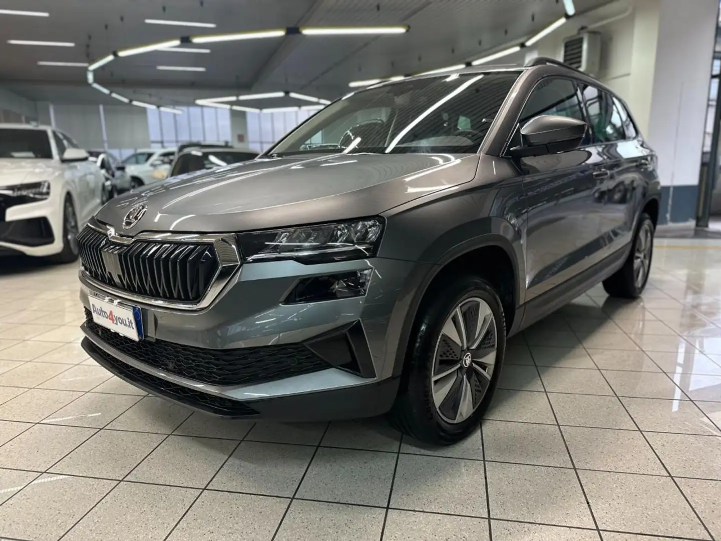 Skoda Karoq 2.0 TDI EVO SCR 115 CV DSG Executive UNI PROP Argento - 2