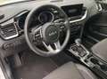 Kia Ceed / cee'd Weiß - thumbnail 6