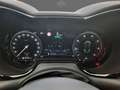 Alfa Romeo Tonale 1.5 MHEV Speciale FWD 160 Gris - thumbnail 10