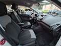 Ford EcoSport 1.0 EcoBoost 125 CV Plus Weiß - thumbnail 12