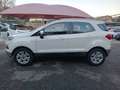 Ford EcoSport 1.0 EcoBoost 125 CV Plus Weiß - thumbnail 4