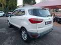 Ford EcoSport 1.0 EcoBoost 125 CV Plus Weiß - thumbnail 5