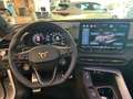 CUPRA Terramar 2.0 TSI - 265PS 4Drive+AHK+Leder+Pano Weiß - thumbnail 11