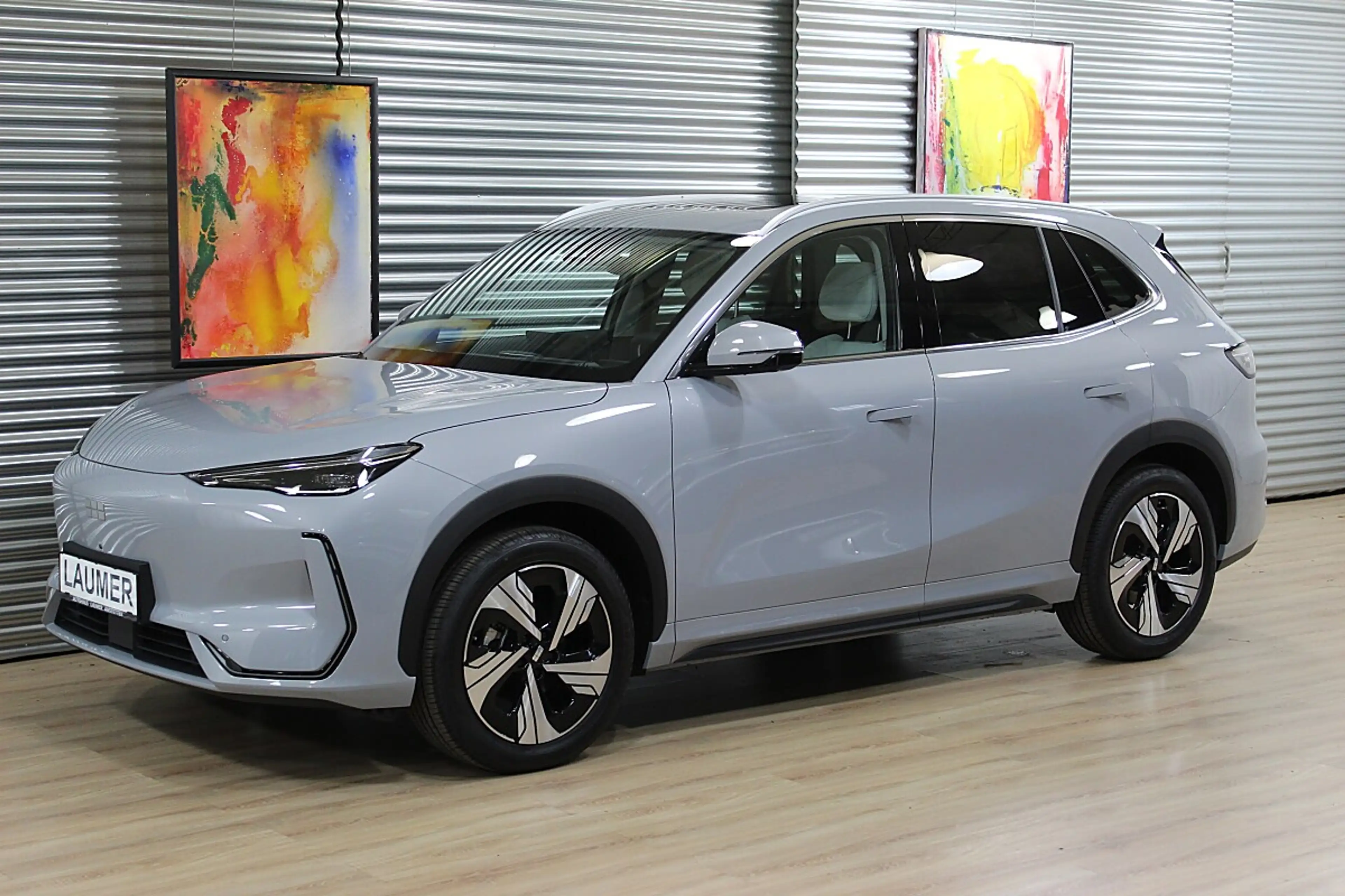 Geely E5 Max 60kWh-Batterie