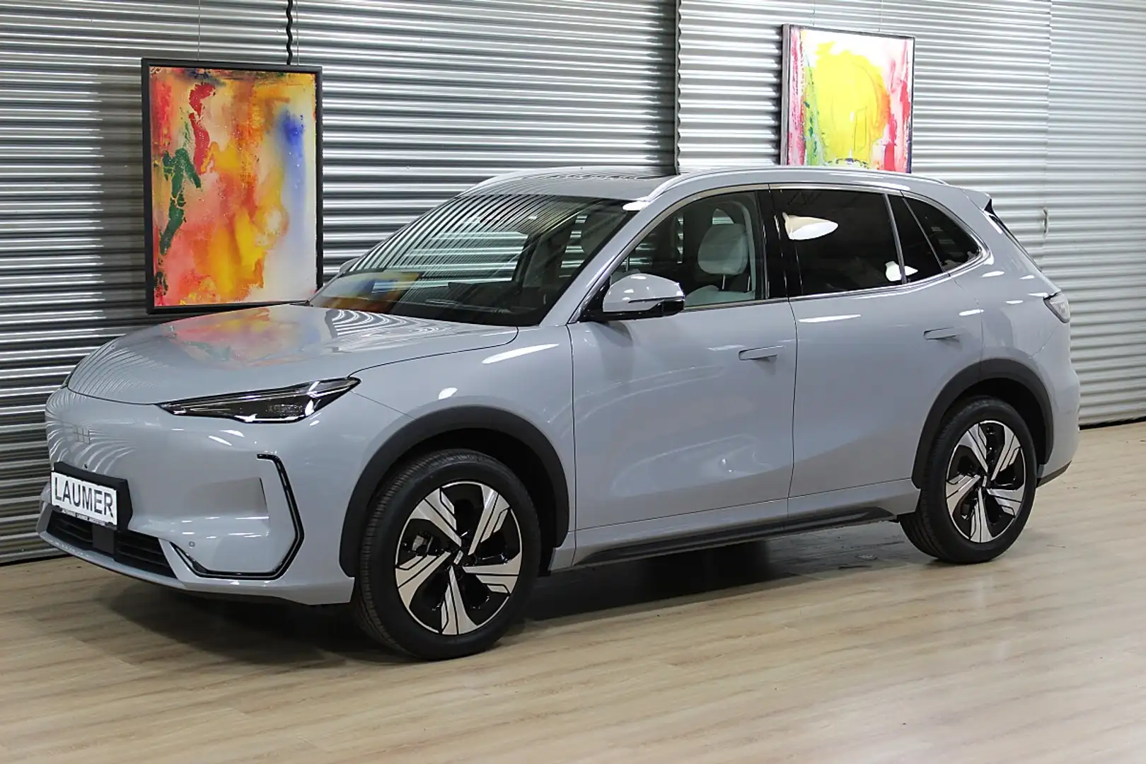 Geely E5 Max 60kWh-Batterie Grau - 1