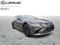 Lexus LS 500 President Line Grau - thumbnail 2