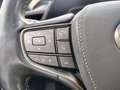 Lexus LS 500 President Line Grau - thumbnail 9