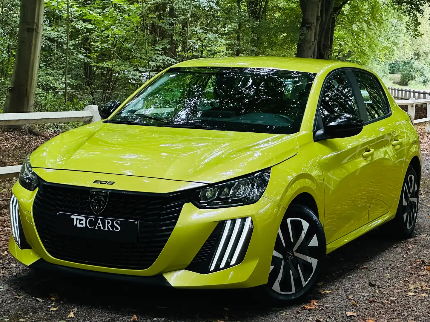 Peugeot 208 Vert - 2