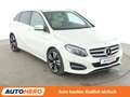 Mercedes-Benz B 200 B 200 CDI 4Matic Style Aut. *LED*CAM*MEMORY* Weiß - thumbnail 8