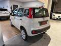 Fiat Panda 0.9 t.air t. Easy 80cv E6 Beige - thumbnail 4
