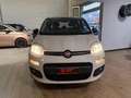 Fiat Panda 0.9 t.air t. Easy 80cv E6 Beige - thumbnail 2