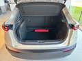 Mazda CX-30 e-Skyactive G140 Homura Aut. AUTO STAHL WIEN 21 Beige - thumbnail 9