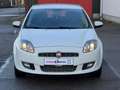 Fiat Bravo 1.4 T-Jet Dynamic ✅All Season✅Clima✅Cruise✅ Wit - thumbnail 12